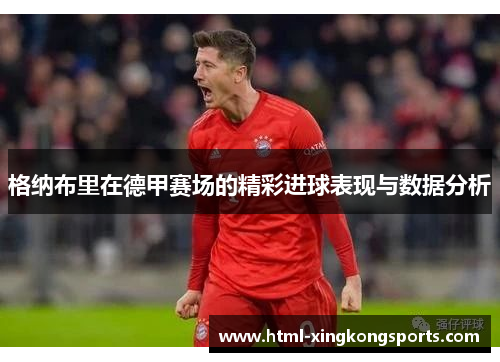 格纳布里在德甲赛场的精彩进球表现与数据分析