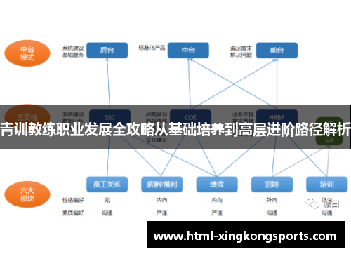 青训教练职业发展全攻略从基础培养到高层进阶路径解析